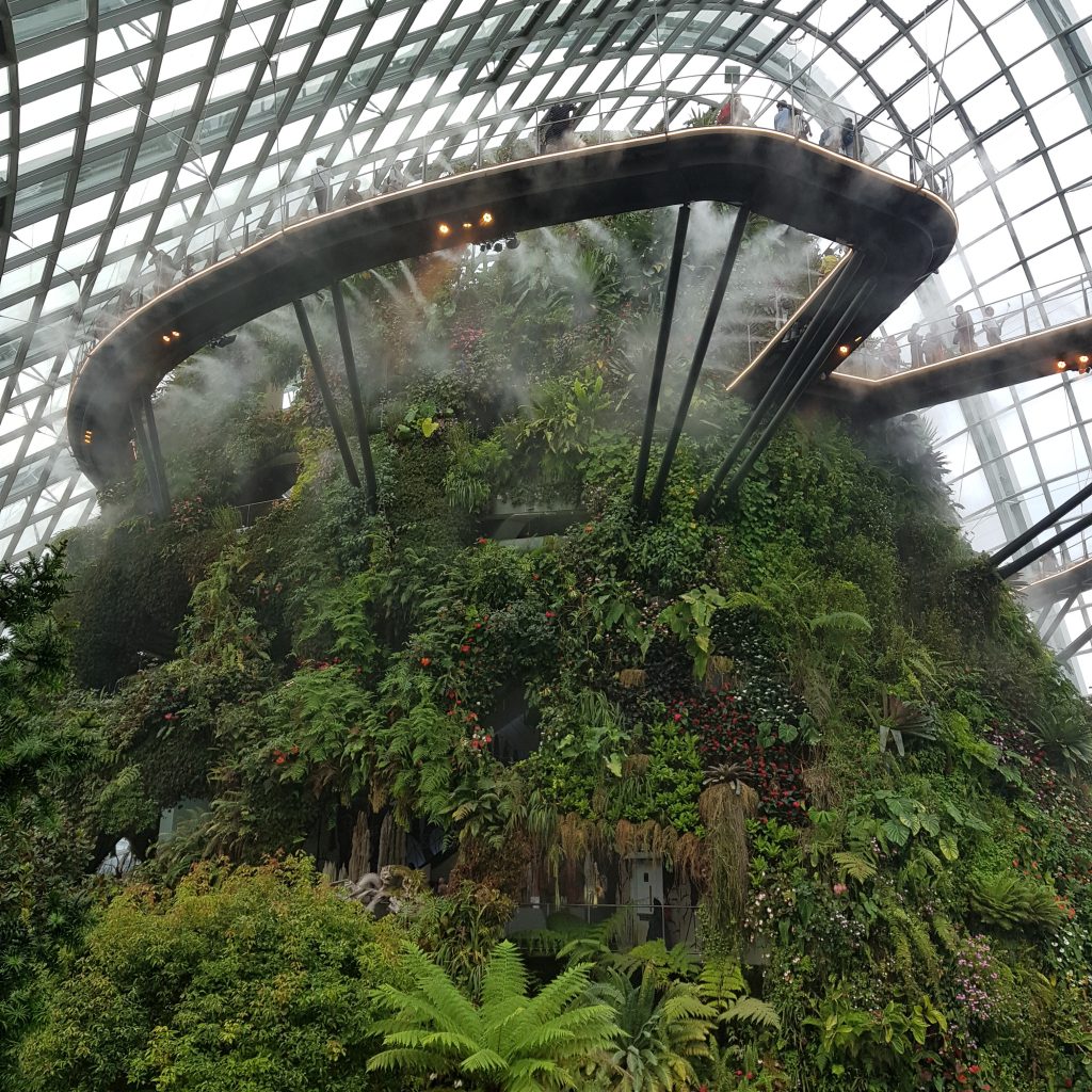 zobaczyć Singapur cloud forest 2